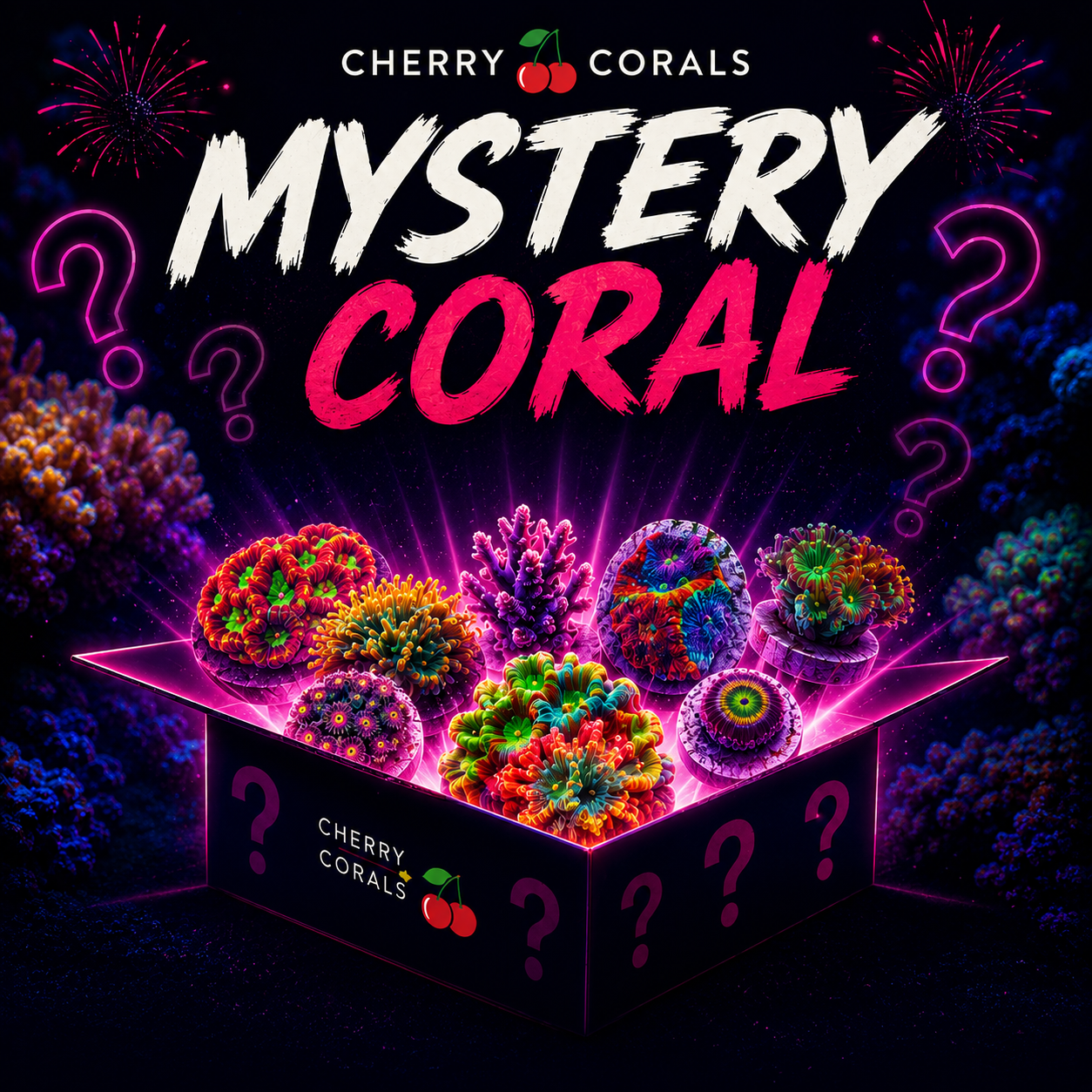 CC Mystery Coral
