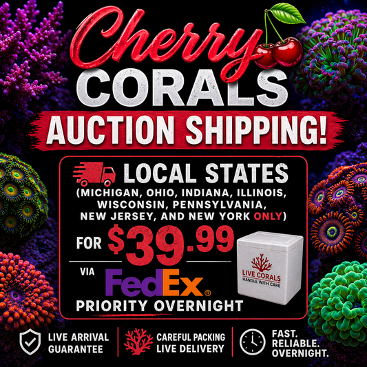 Cherry Corals Auction Shipping - NEAR States Only - Your corals arrive the NEXT day!