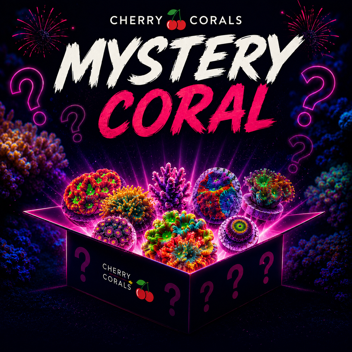 Cherry Corals Mystery Coral #2