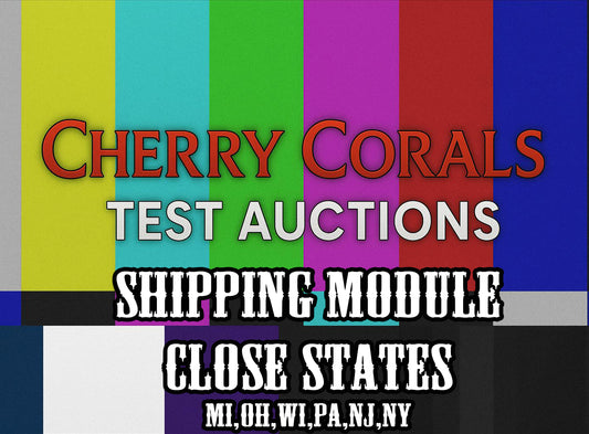 Test Auction Shipping (Near States)