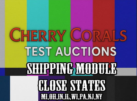 Test Auction Shipping (Near States)