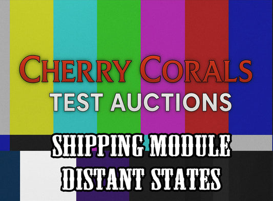 Test Auction Shipping (Distant States)