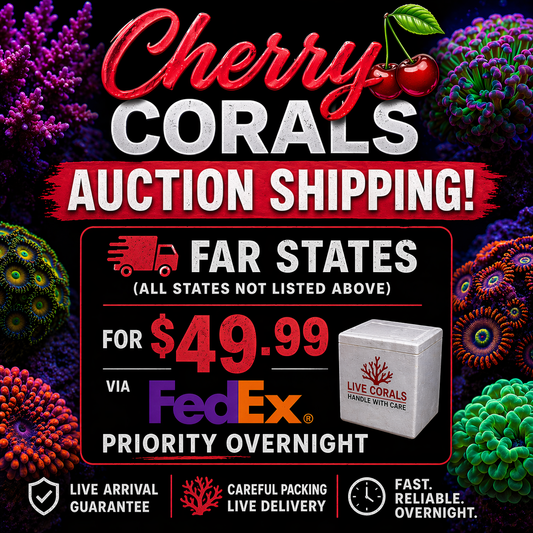 Cherry Corals Auction Shipping - FAR States Only - Your corals arrive the NEXT day!