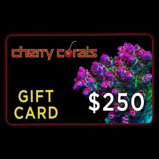 Cherry Corals Gift Card