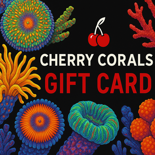 Cherry Corals Gift Card